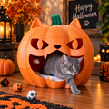 Casita de Calabaza para Gato🎃🐱